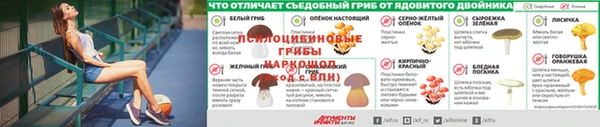 хмурый Кинешма