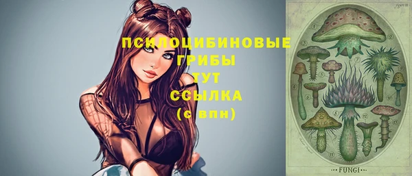 молекула духа Алзамай