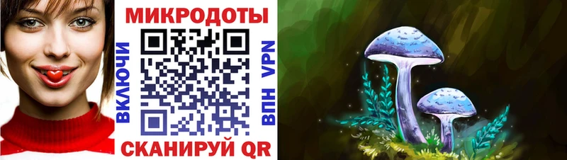 где купить наркоту  Николаевск  Галлюциногенные грибы мухоморы 